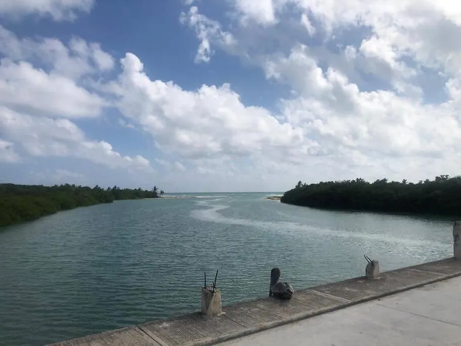 Departamento De La Armonia Y Felicidad Con Alberca Apartment Tulum 0*,  Mexico