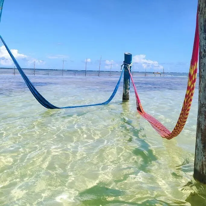 Apartmán Departamento De La Armonia Y Felicidad Con Alberca Tulum